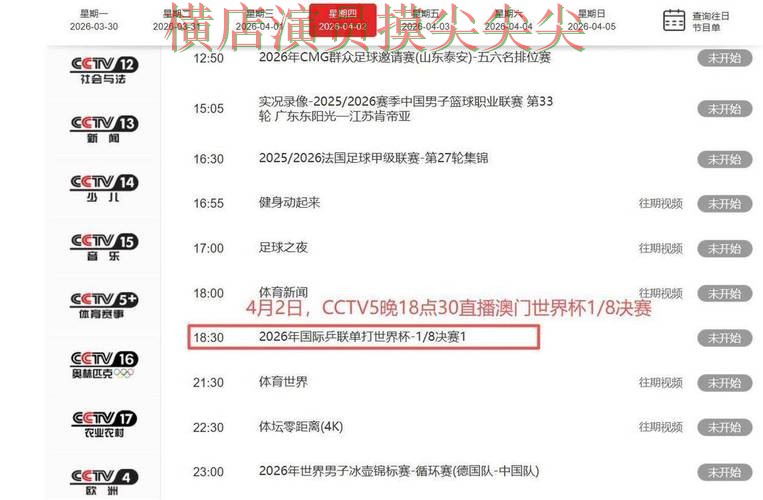精选世界杯投注平台推荐：从赛事直播到直播观看全流程解析 - 世界杯实时直播